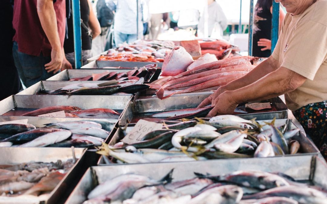Indústria de Pescados: Futuro Exige Consumo Racional e Reúso da Água