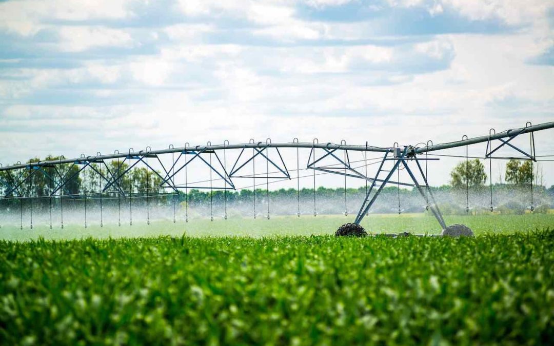 Agricultura Consome 52% da Água Captada no Brasil