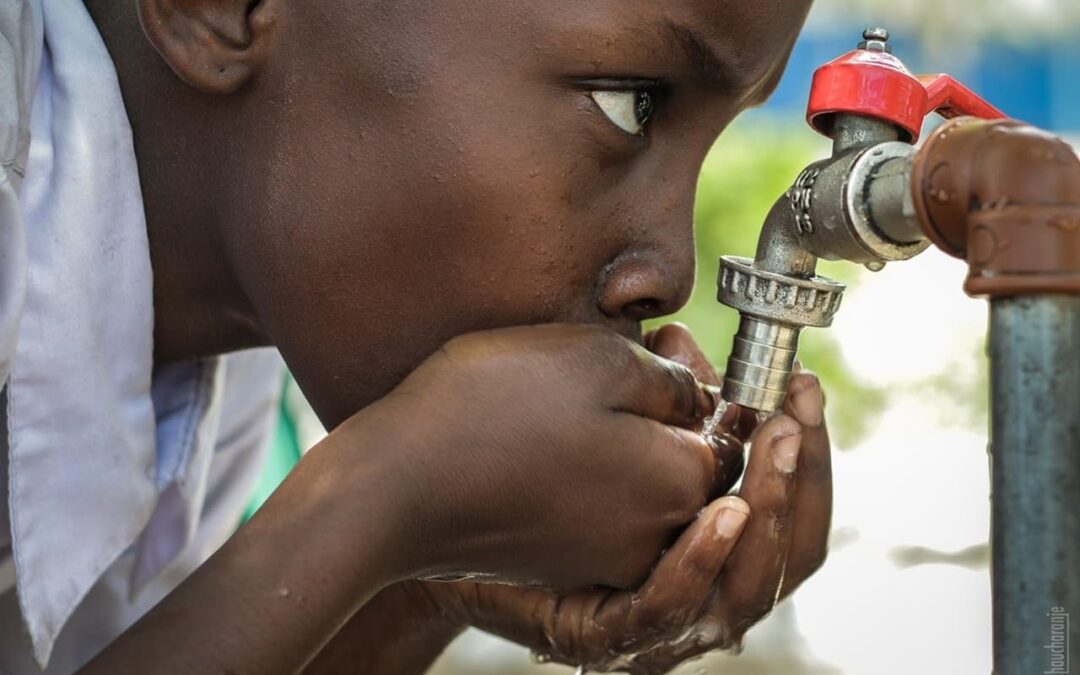 Tema do Dia Mundial da Alimentação 2023: “A água da vida, a água nutre. Não deixar ninguém para trás”